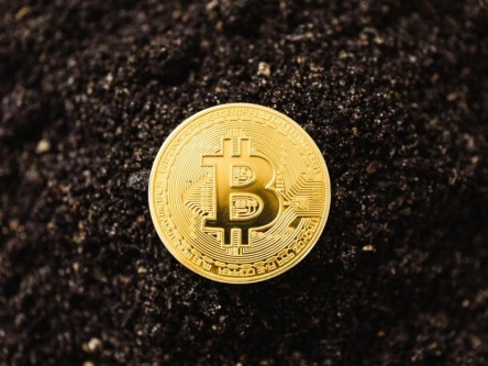 星环科技：公司的分布式向量数据库Hippo具备高可用、高性能、易拓展等特点(图1)