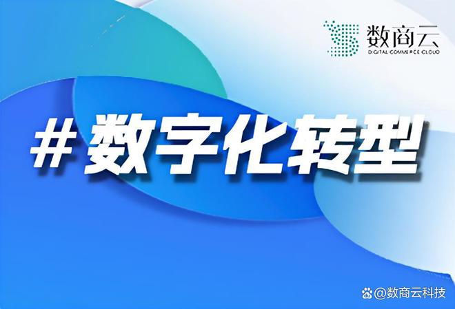 企业数字化转型：全面解析数商云作为数字化转型服务商的卓越价值(图1)