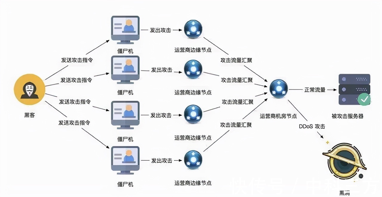 acca少女网课视频2023免费(图1)