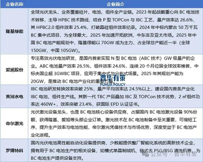 2025-2031年BC电池行业深度调研及投资前景预测报告(图2)