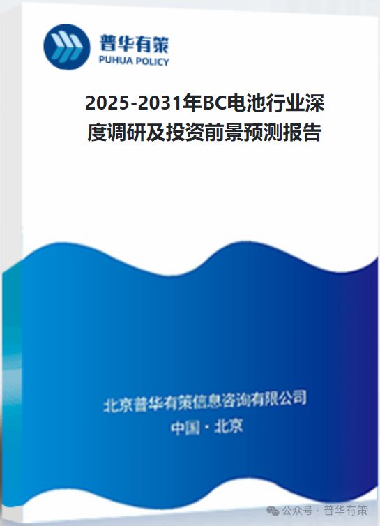 2025-2031年BC电池行业深度调研及投资前景预测报告(图3)