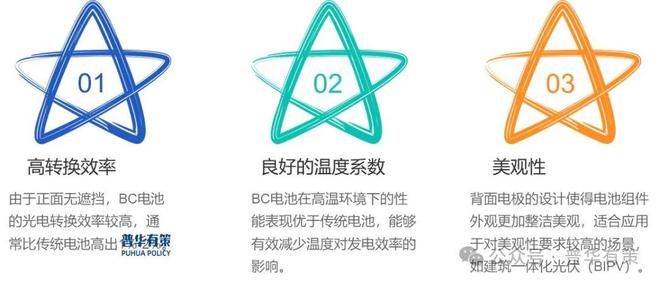 2025-2031年BC电池行业深度调研及投资前景预测报告(图1)