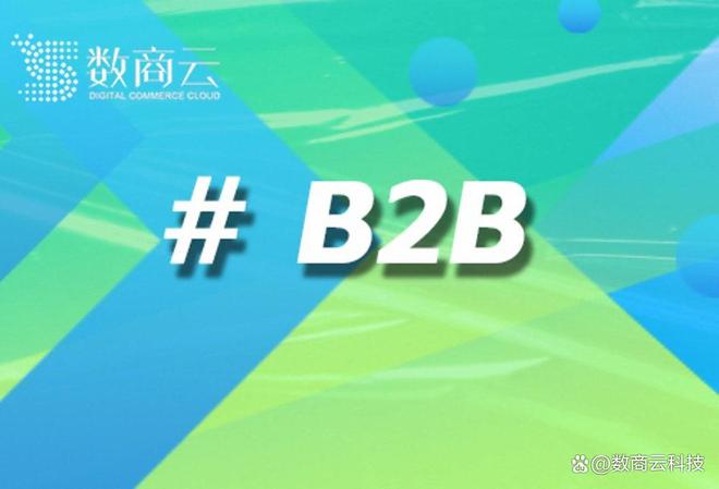 B2B电子商务系统推荐：数商云如何成为企业数字化转型的首选伙伴(图1)